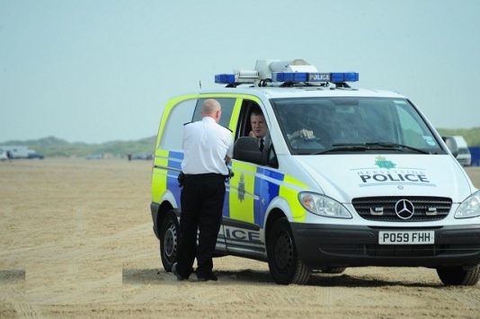 Reports of a suspicious person looking for dogs on beach