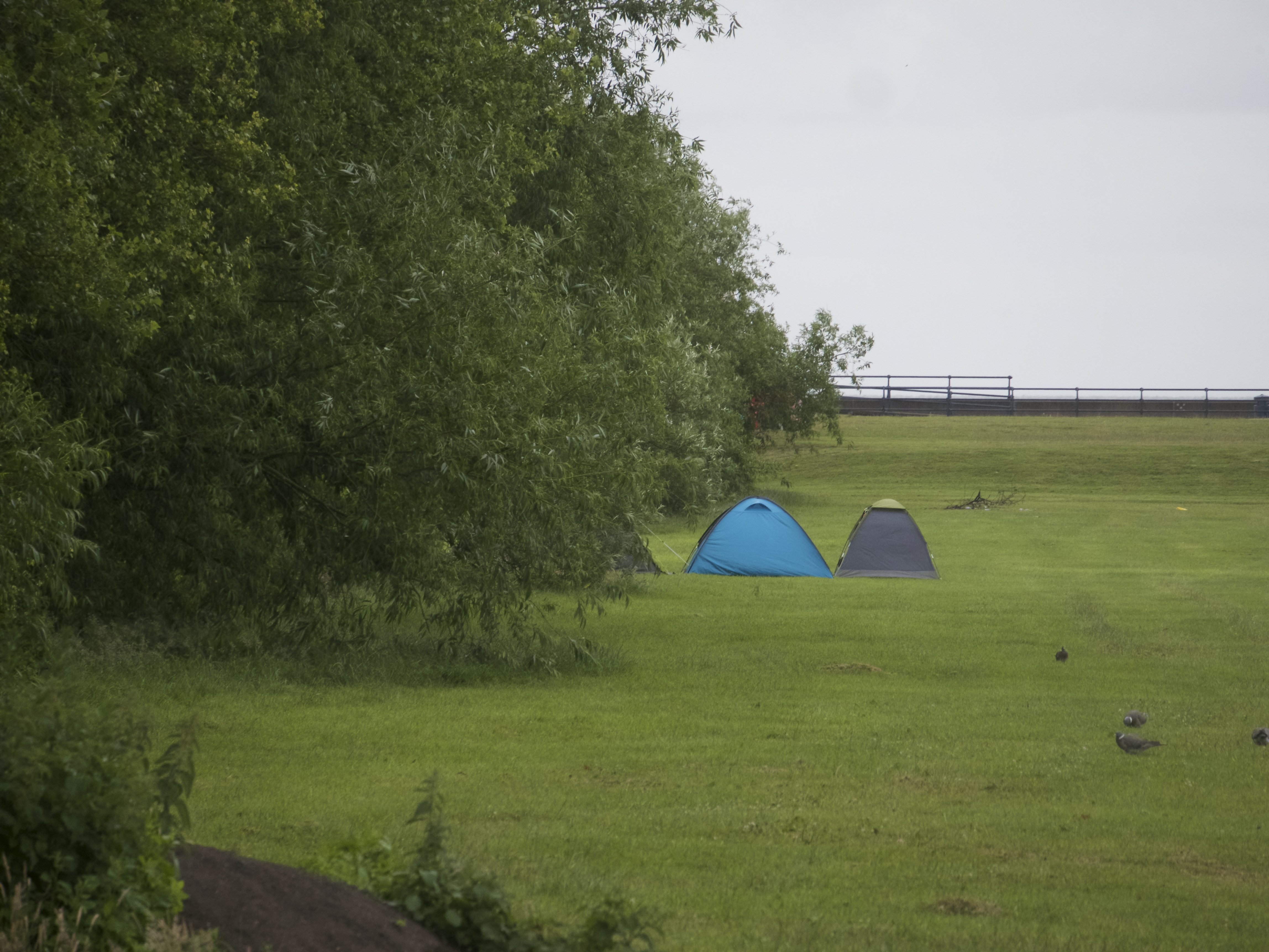 Campsite springs up on Princes Park Southport