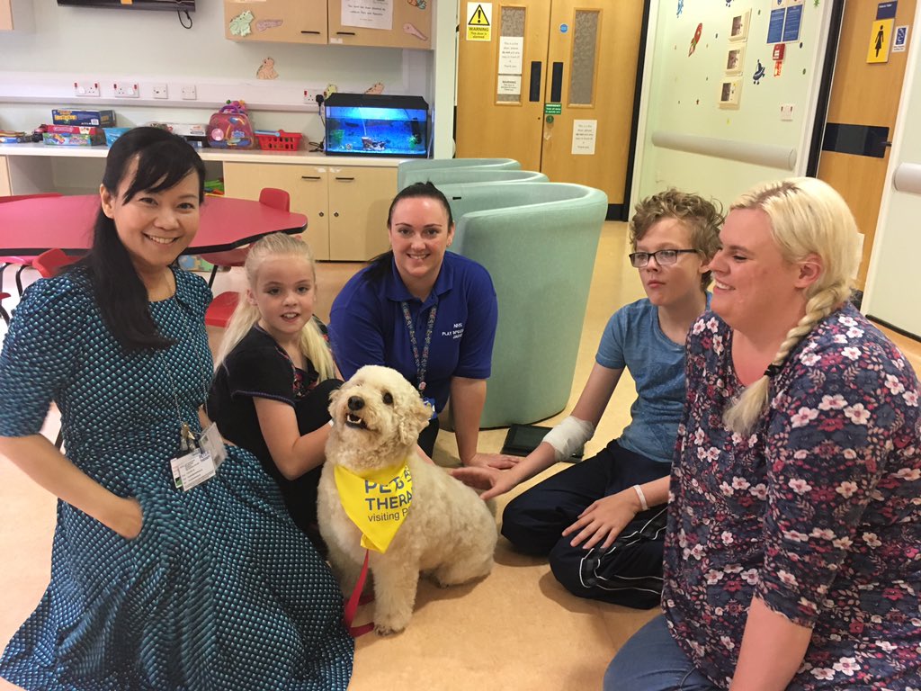 PAT dogs on the STROKE ward