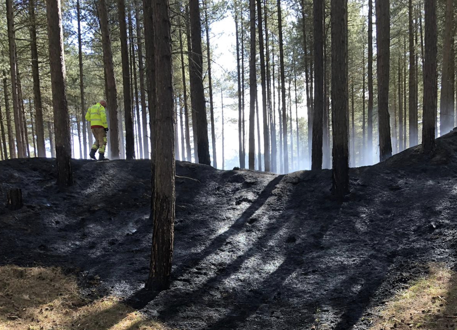 Ainsdale pinewood fire OTS News